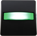 CANFORD SIGNE LUMINEUX LED plaque noire, LED vert
