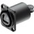 NEUTRIK OPTICALCON QUAD N04FDW-R PANNEAU ruthénium