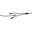 REAN CORDON EN Y fiche jack 3,5mm 3pts vers double fiche RCA (phono), 3m