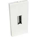 CANFORD MODULE AV économique, prise USB Type A, type pigtail, demi module, blanc