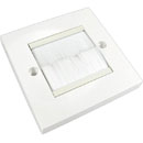 CANFORD PLAQUE AVEC BROSSE AV économique, 1-gang, module plein, brosse blanche, blanc