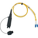 CANFORD FIBRECO connecteur de câble HMA Junior, 2 canaux, SM avec épanoui connecteurs fibre LC,2m