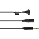 SENNHEISER 508546 CABLE-II-X3K1-GOLD CORDON cuivre, HMD300PRO/301PRO, XLR3M, jack stéréo 6.35mm, 2m