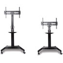 LINDY 40972 SUPPORT ECRAN simple, sur chariot, noir