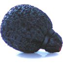 RYCOTE 105526 BONNETTE MOUSSE couche néoprène, pour micro-cravate miniature, noir