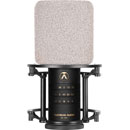 AUSTRIAN AUDIO OC-S10 MICROPHONE Large-diaphragm condenser, selectable patterns, dual output