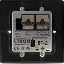 CLOUD BT-2EB PLAQUE D'ENTREE BLUETOOTH Bluetooth, port d'extension, liaison, noir