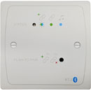 CLOUD BT-2FW BLUETOOTH INPUT PLATE Bluetooth, facility port, linking, white