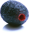 RYCOTE 105525 BONNETTE MOUSSE couche néoprène, pour micro-cravate, noir