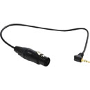 CANFORD CORDON 3FXXB-jack 3.5mm 3pts coudé, 350mm, entrée micro pour caméra