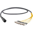 CANFORD CORDON EPANOUI Tourline25 mâle vers 8x XLRM, 2m