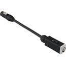 CANFORD CORDON SECTEUR CONVERTISSEUR Powercon sortie NAC3MPXXB - Powercon TRUE1 sortie NAC3M-TRUE1-S