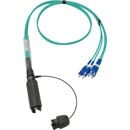 CANFORD FIBRECO connecteur de câble HMA Junior, 4 canaux, MM avec épanoui connecteurs fibre SC, 1m