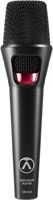 AUSTRIAN AUDIO - MICROPHONES - Chant, à main